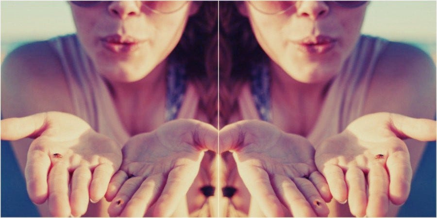 What Is Empathy? People With These Myers-Briggs (MBTI) Personality Types Know How To Be Empathetic What Is Empathy? People With These Myers-Briggs (MBTI) Personality Types Know How To Be Empathetic